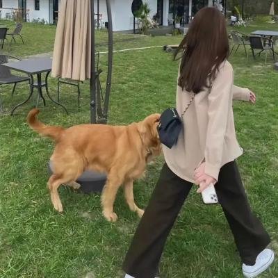 边境上的死亡